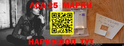 прущие грибы Коммунар